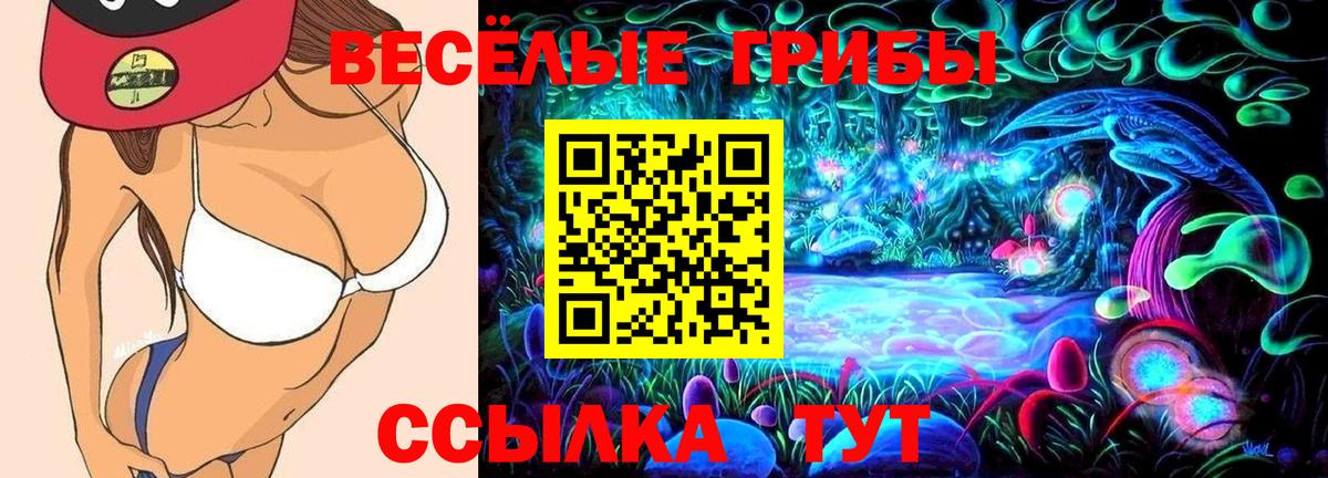 Псилоцибиновые грибы мухоморы  Вход с VPN  Черемхово  Псилоцибиновые грибы мухоморы 