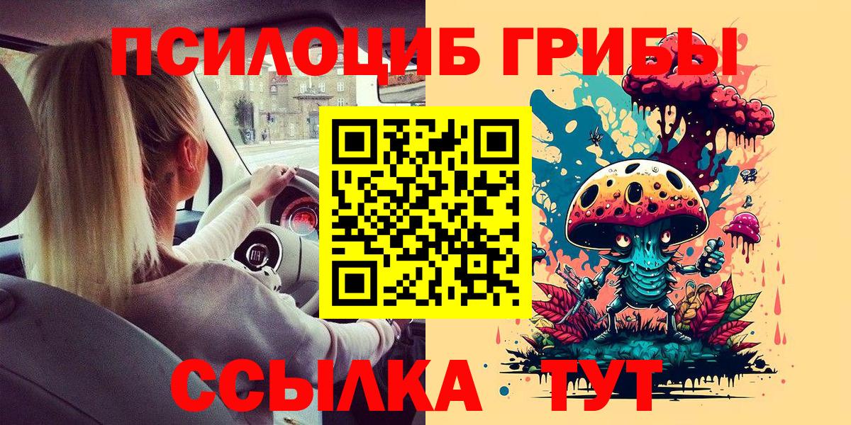 Галлюциногенные грибы Psilocybe Черемхово